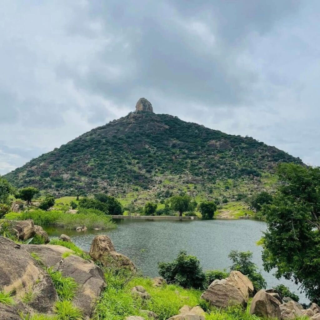 photo 2025 02 14 12 06 54