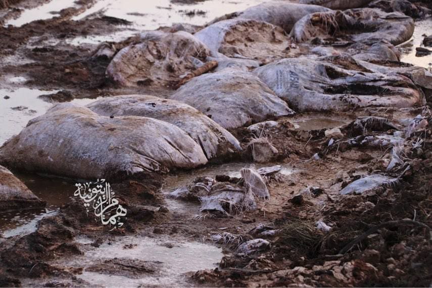 photo 2025 02 14 12 07 46