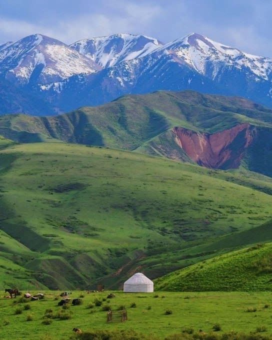 photo 2025 02 14 12 09 28