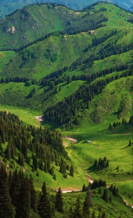 photo 2025 02 14 12 09 32