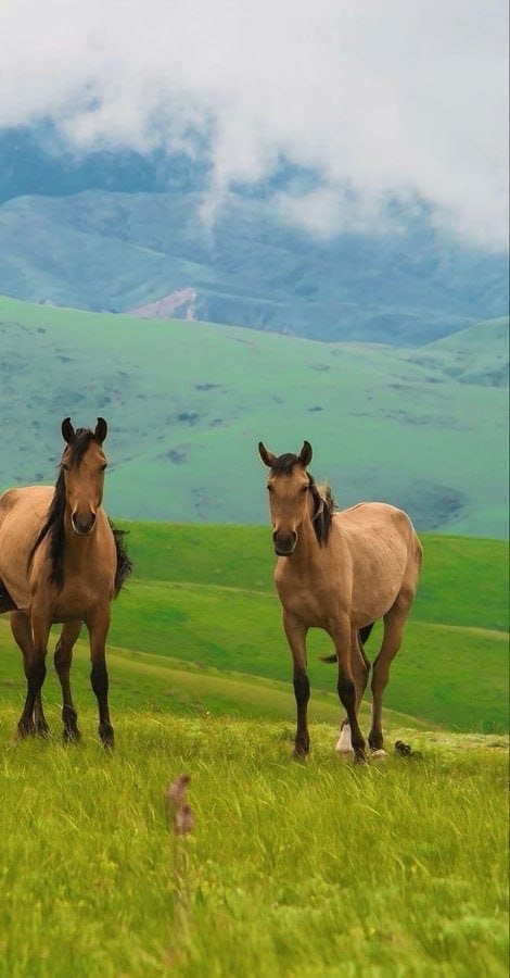 photo 2025 02 14 12 09 35