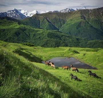 photo 2025 02 14 12 11 17