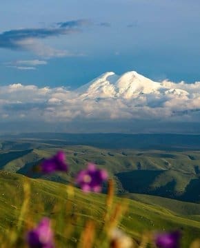 photo 2025 02 14 12 11 20