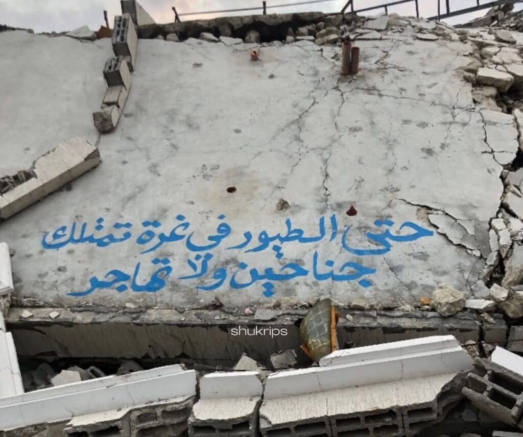 photo 2025 02 14 12 13 14