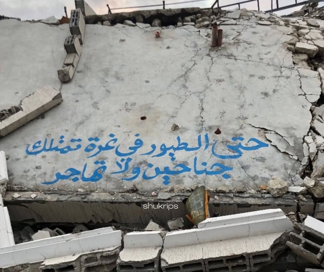 photo 2025 02 14 12 13 14