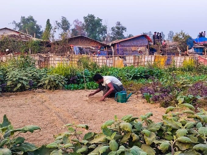 photo 2025 02 14 12 16 23