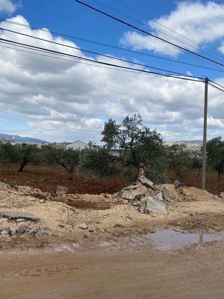 photo 2025 02 14 12 17 07