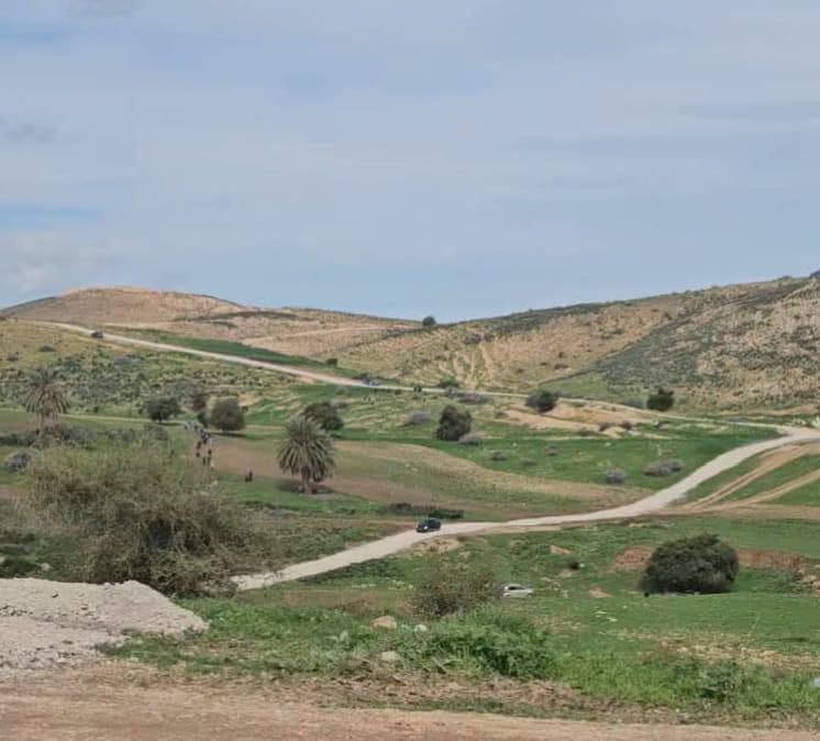 photo 2025 02 21 12 01 31