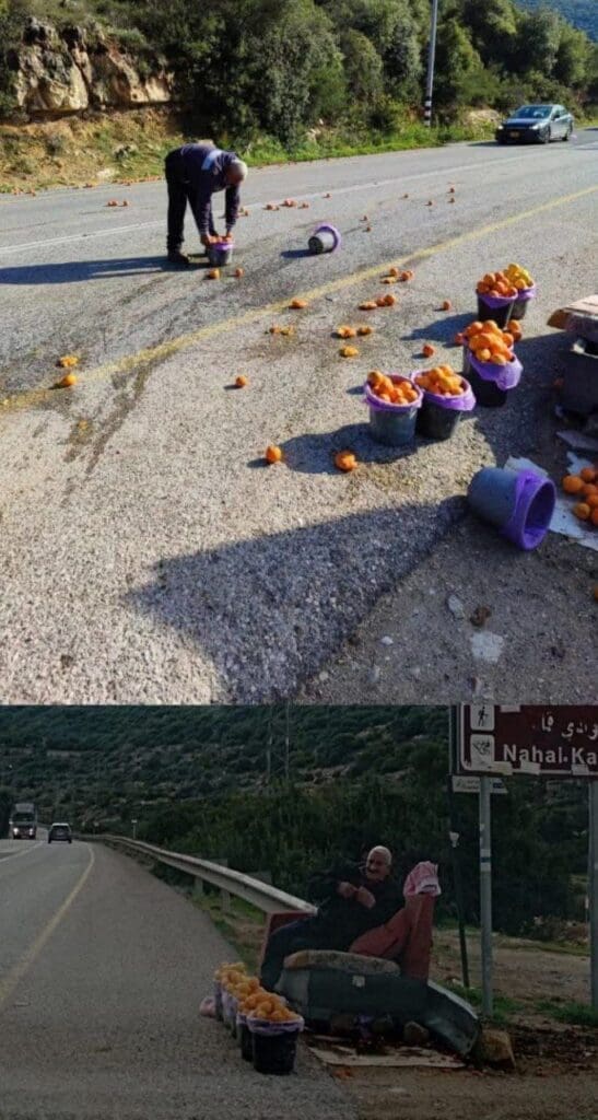 photo 2025 02 21 12 20 46