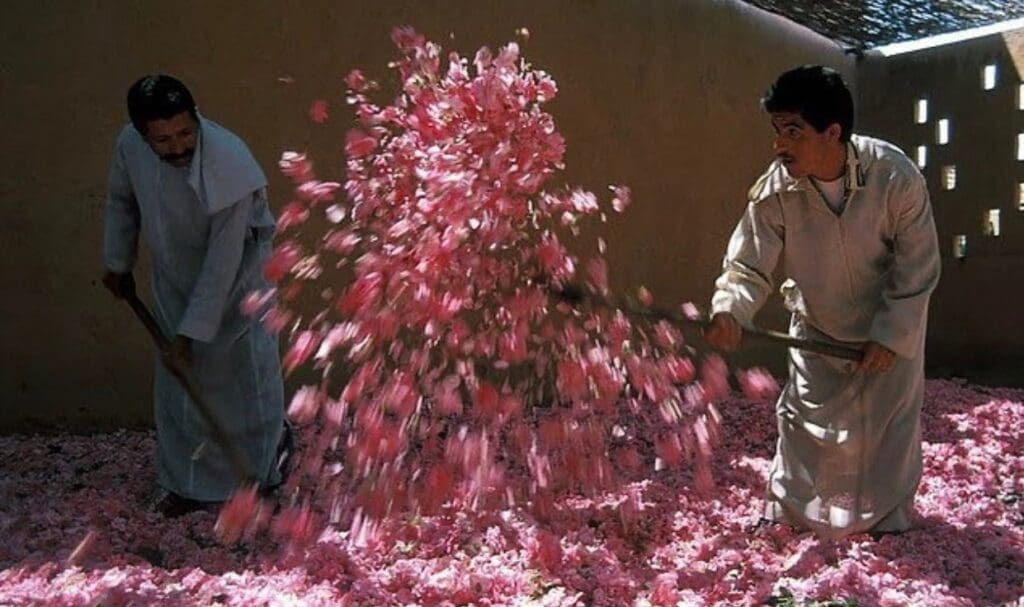 photo 2025 02 21 14 37 55