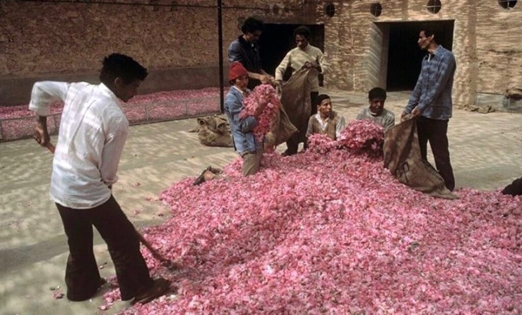 photo 2025 02 21 14 37 59