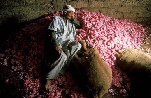 photo 2025 02 21 14 38 03