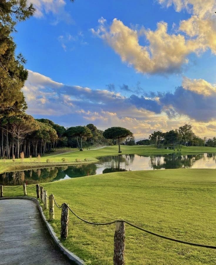 photo 2025 02 21 14 40 35