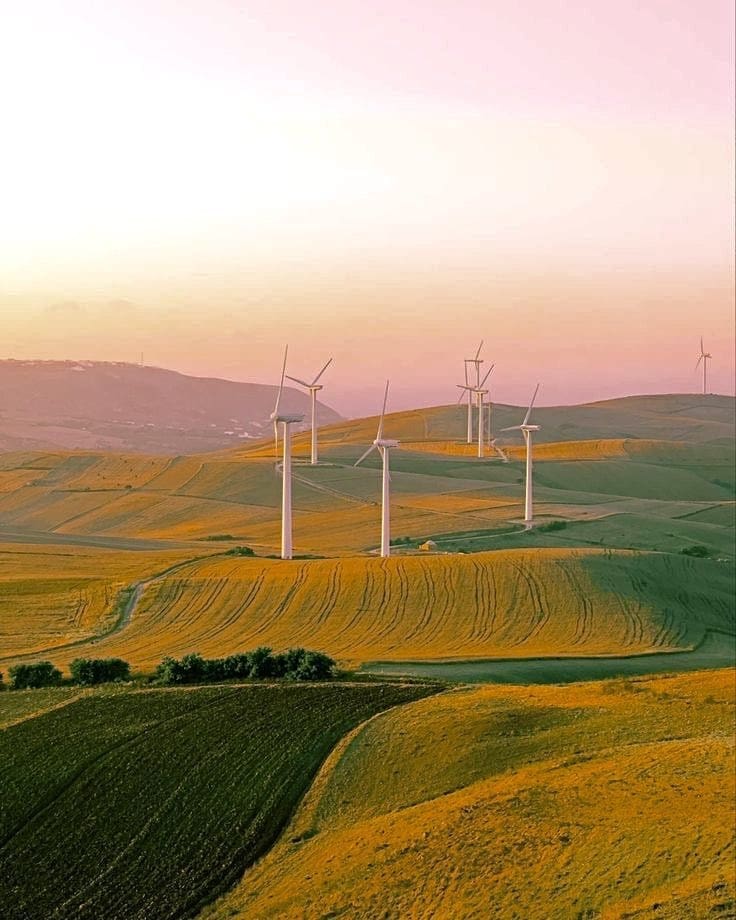 photo 2025 02 21 14 40 38