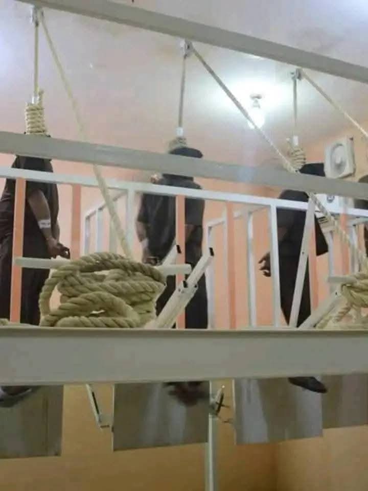 photo 2025 02 21 14 42 53