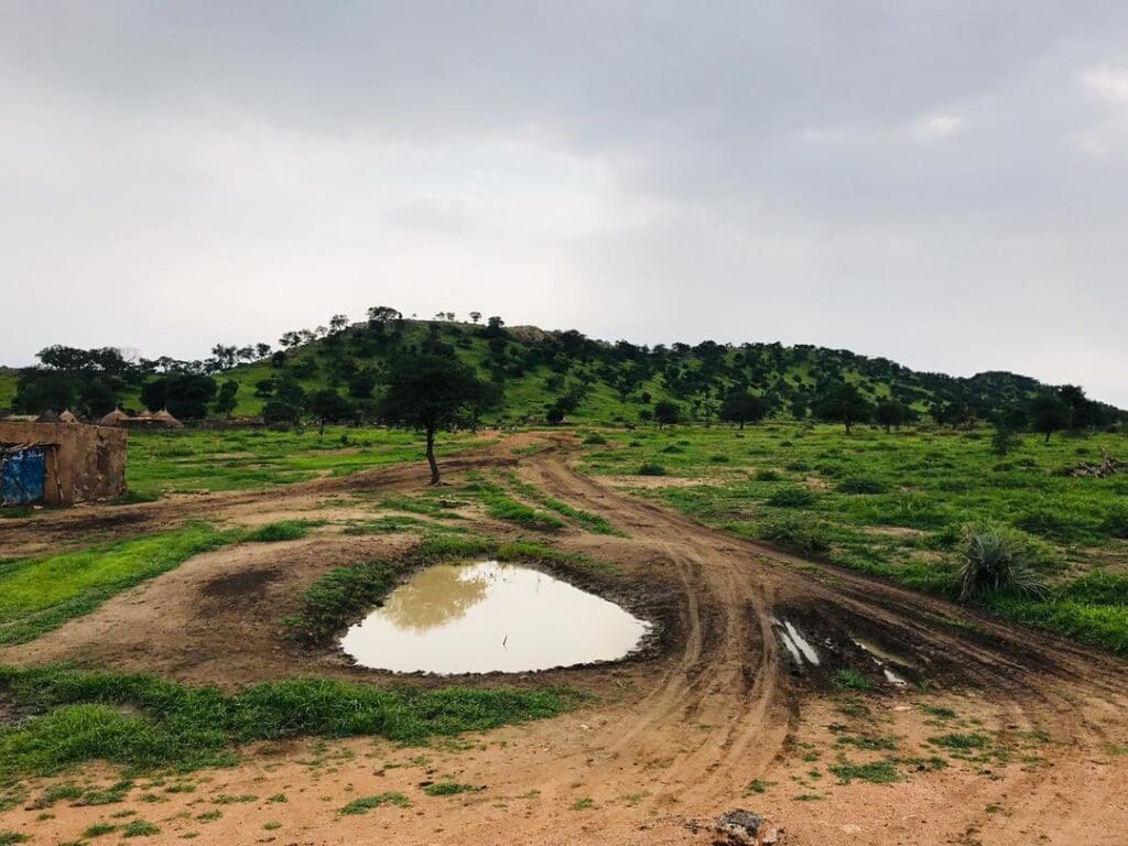 photo 2025 02 21 14 44 37