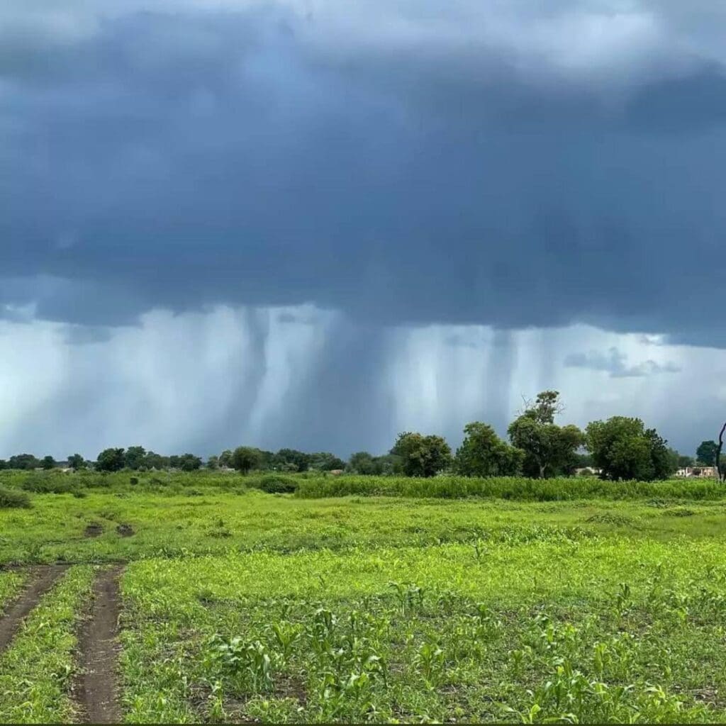 photo 2025 02 21 14 44 40