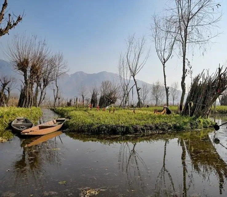 photo 2025 02 21 14 51 32