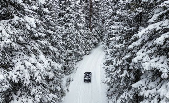 photo 2025 02 21 14 52 46