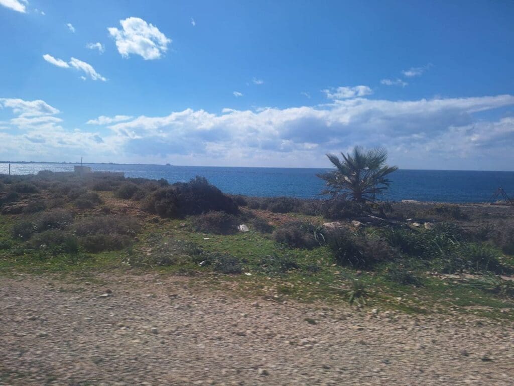 photo 2025 02 21 14 57 43