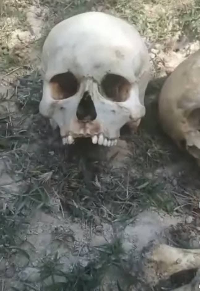 photo 2025 02 28 16 26 52