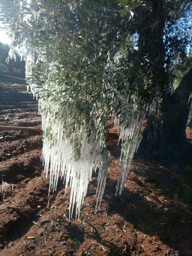 photo 2025 02 28 16 46 26