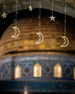 photo 2025 02 28 17 05 27