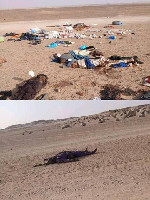 photo ٢٠٢٥ ٠٢ ١٨ ٠٨ ٢٨ ١٦