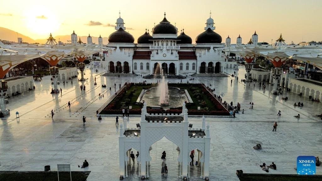 IMG 20250308 010853 001