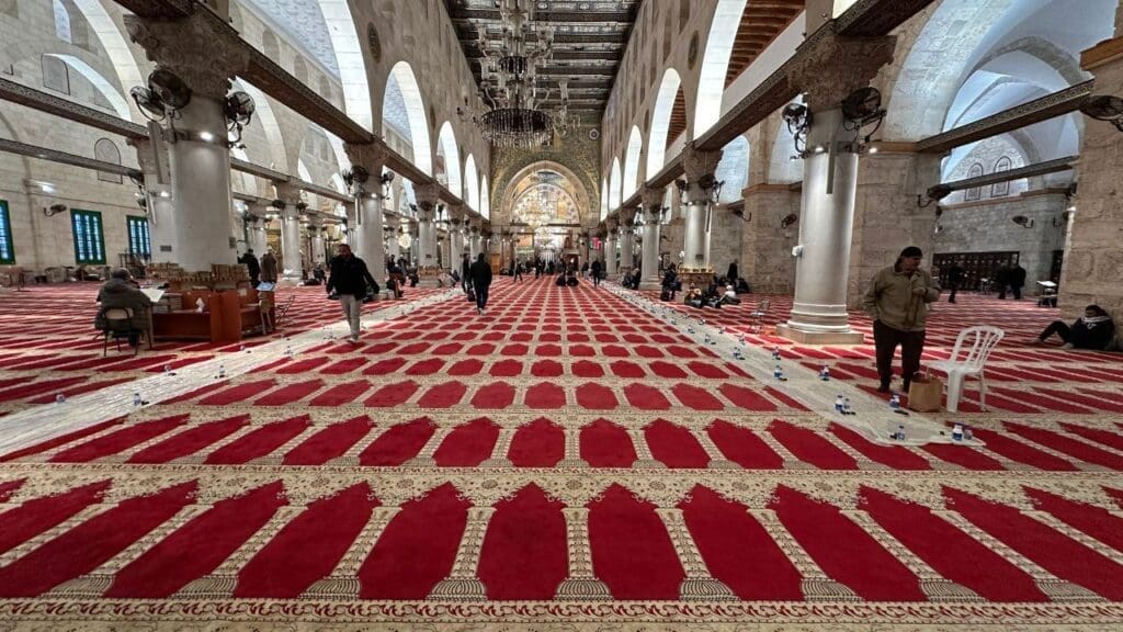 IMG 20250308 011008 905