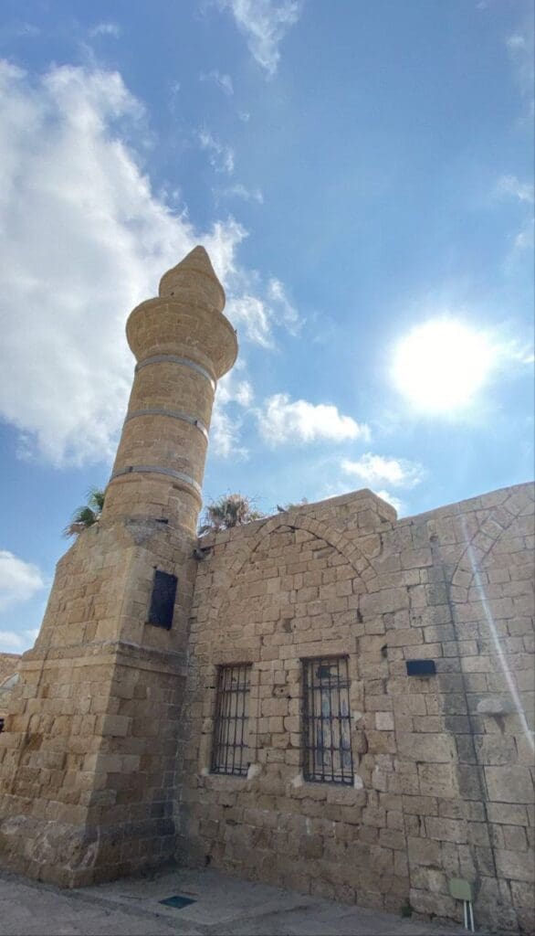 IMG 20250308 011304 841