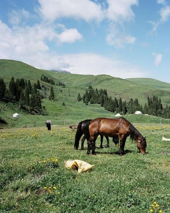 IMG 20250328 232556 633