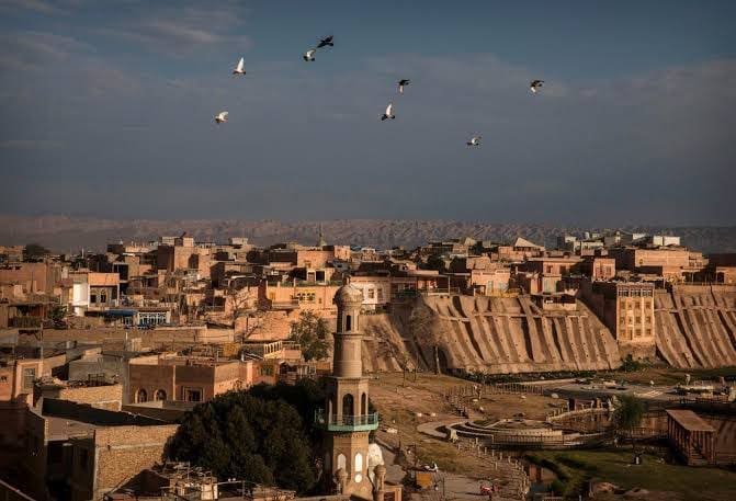 IMG 20250328 234244 350