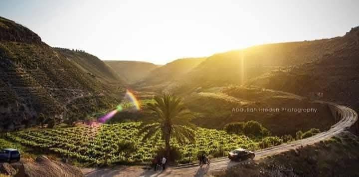 IMG 20250329 002032 500