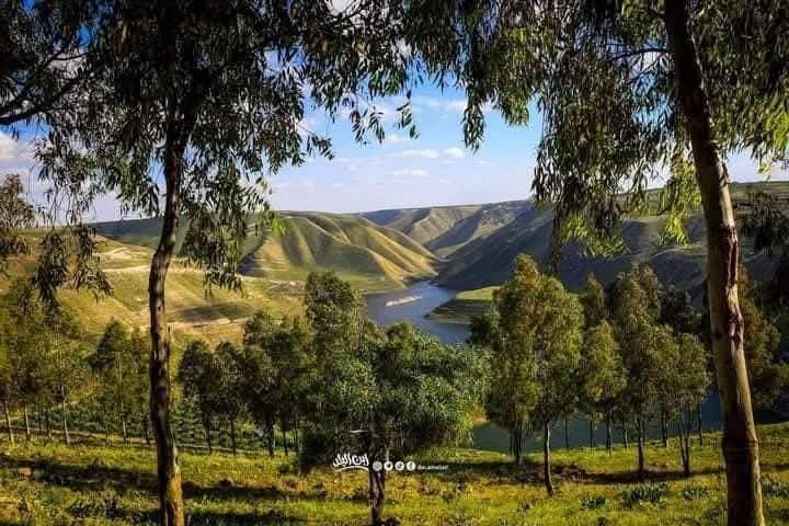 IMG 20250329 002032 622