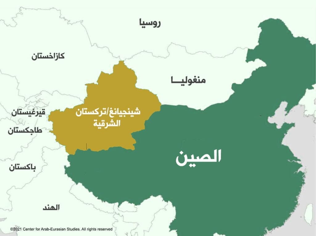 1000120085 1024x765 1