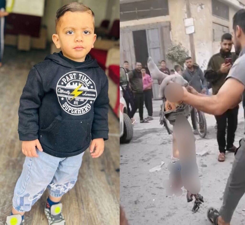 IMG 20250411 212041 435