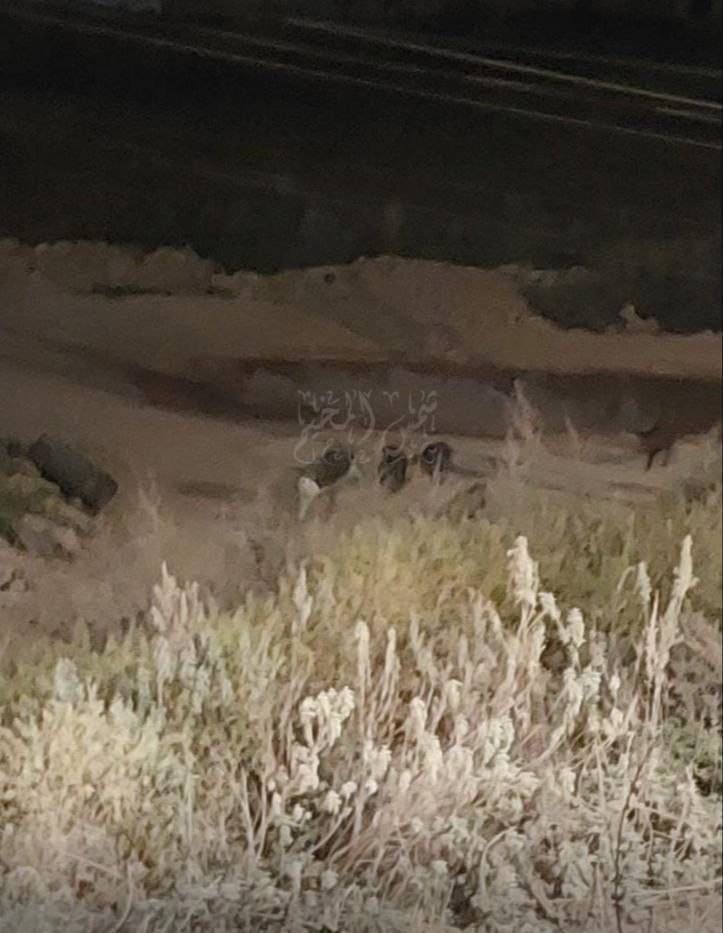 IMG 20250411 215857 495