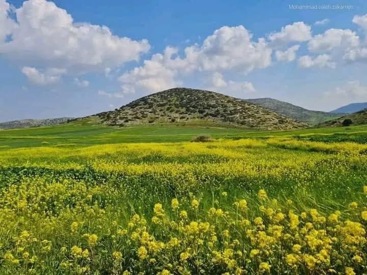 IMG 20250411 225102 276