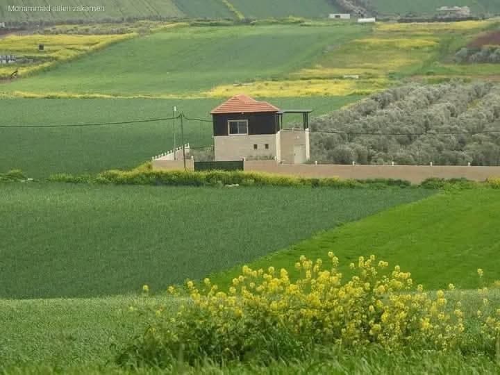 IMG 20250411 225103 001