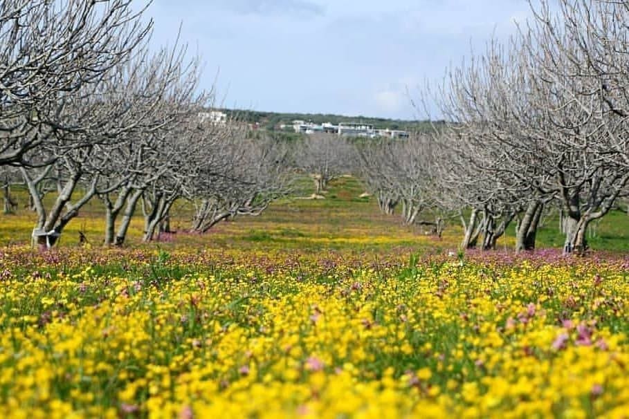 IMG 20250411 225132 874 1