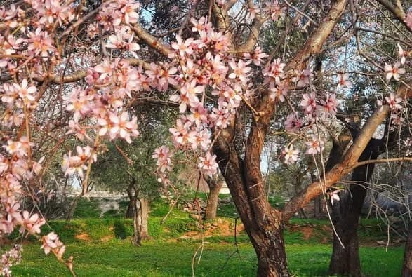 IMG 20250411 225244 925