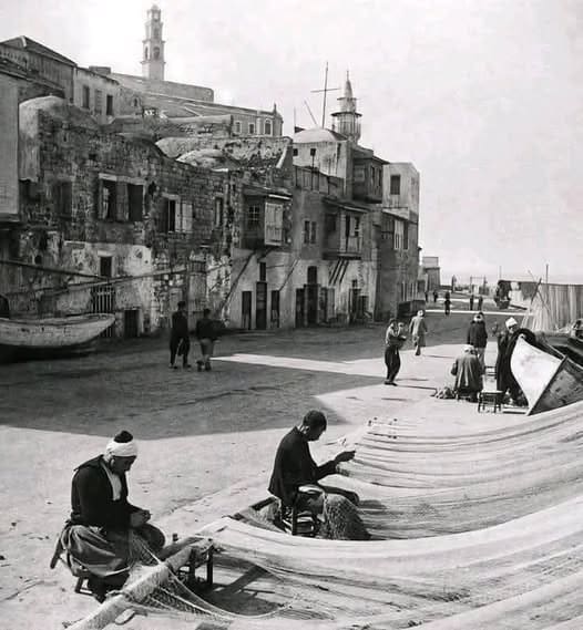 IMG 20250411 225314 876