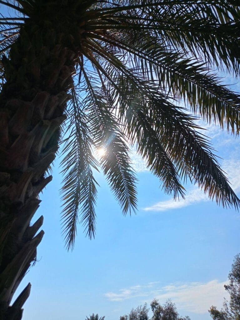 IMG 20250411 225358 218