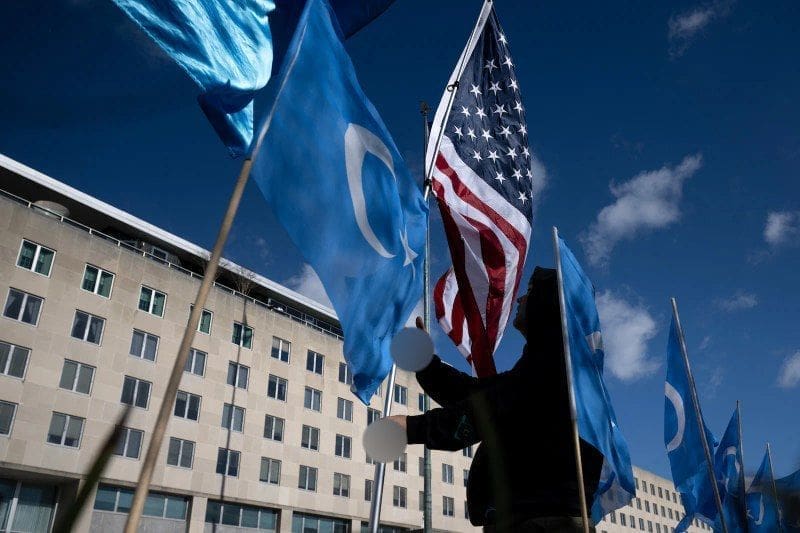 IMG 20250418 114852 086