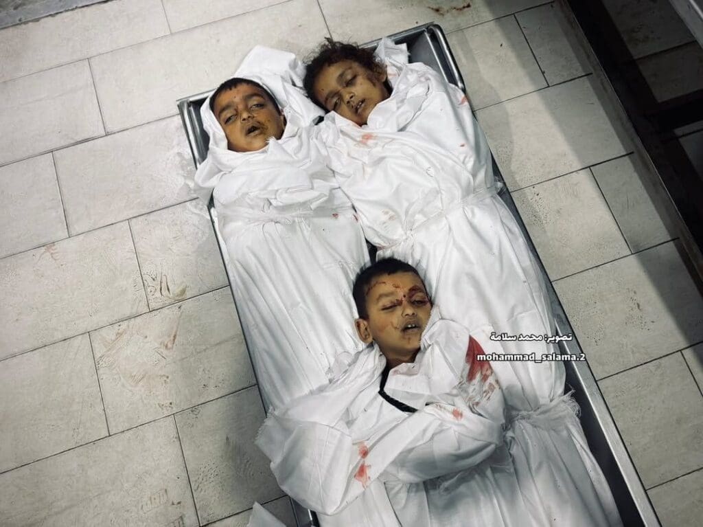 IMG 20250425 232824 255