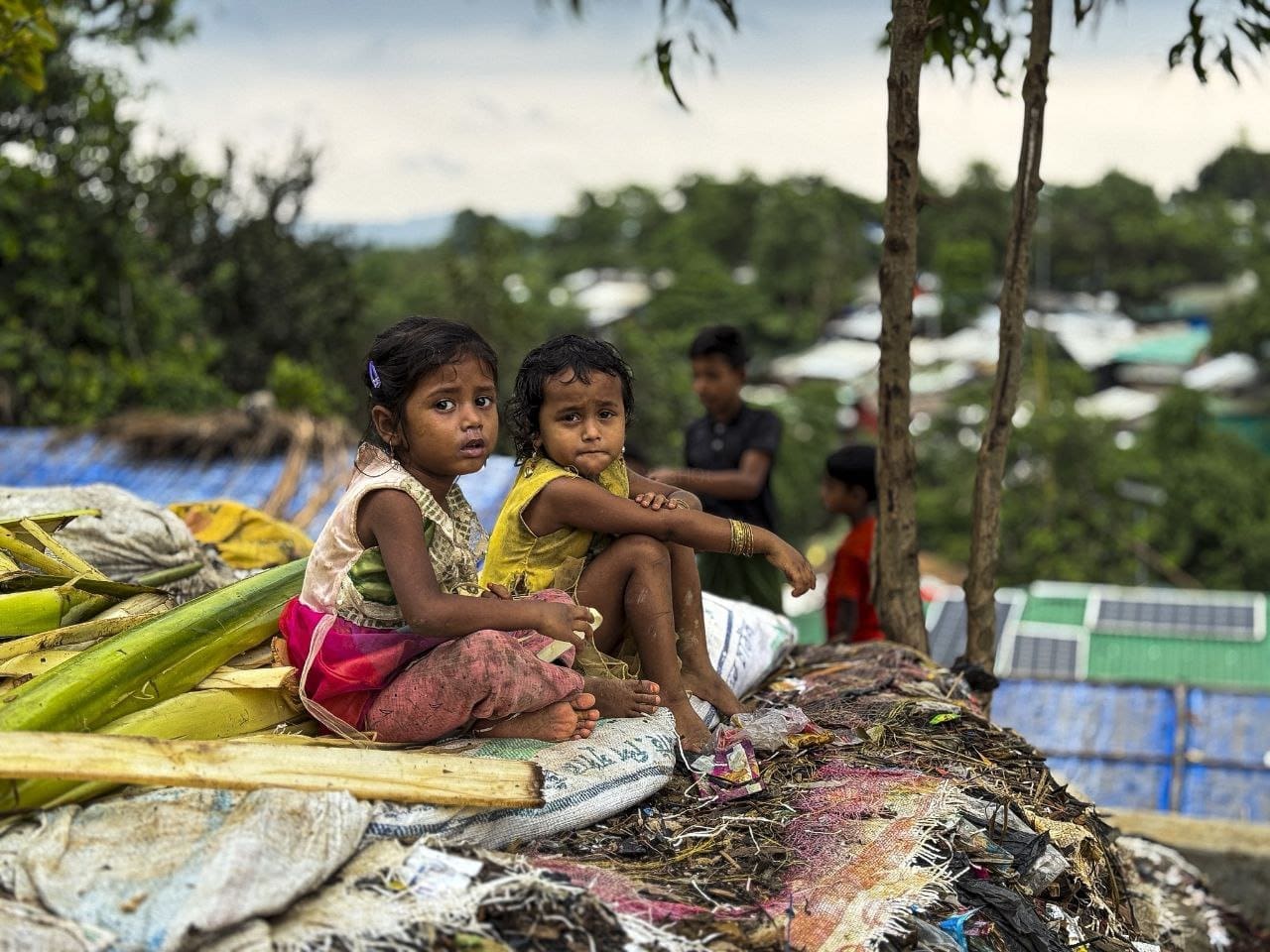 IMG 20250425 233323 784