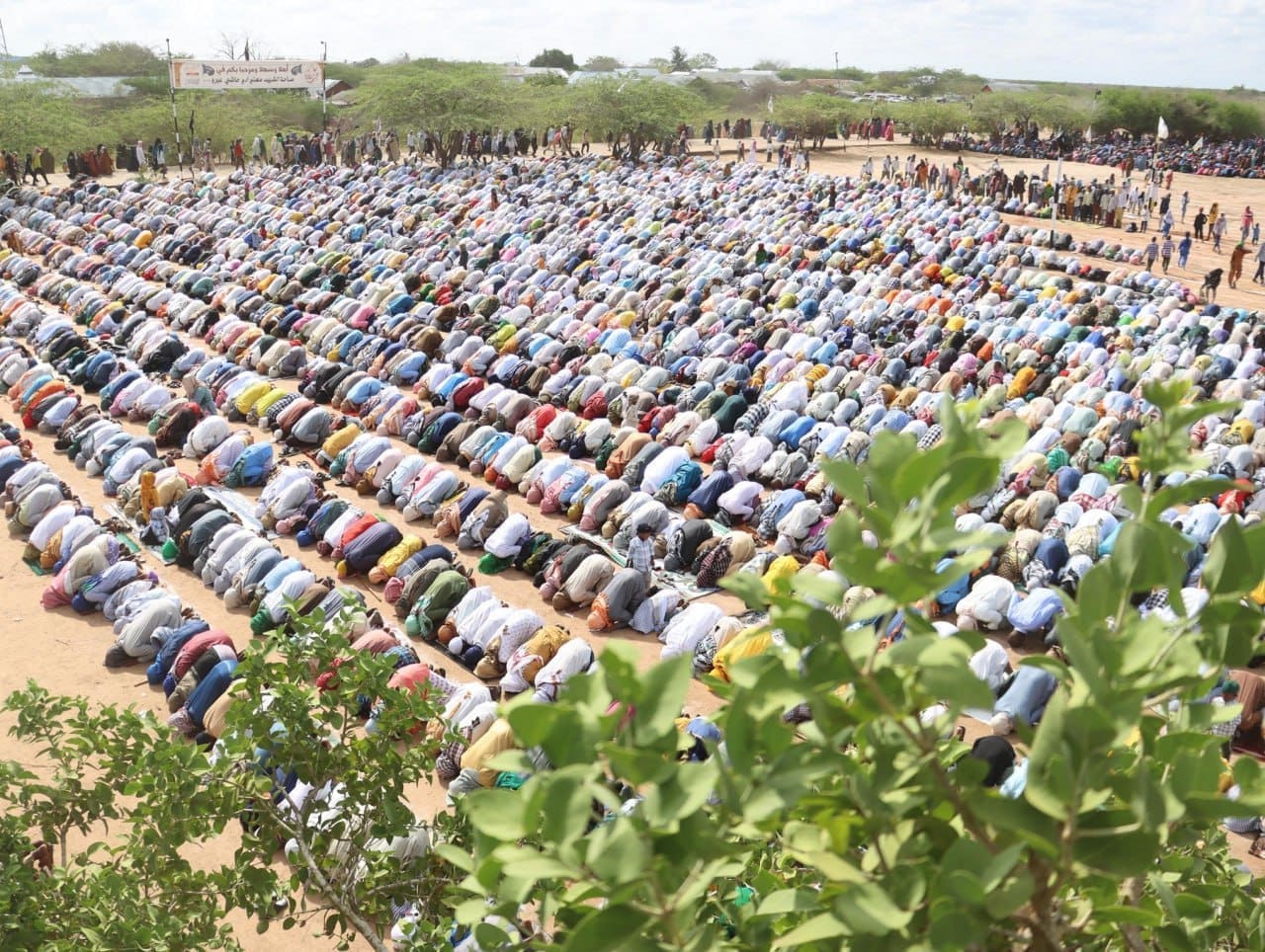 photo 2025 04 04 20 30 53