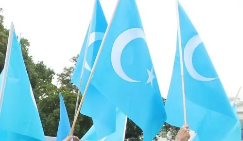 small uyghur flag 648b5579bd