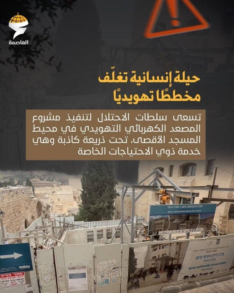 IMG 20250502 135639 884